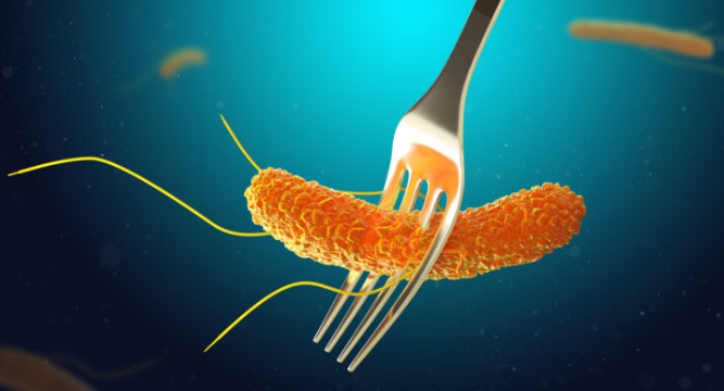 بكتيريا الإي كولاي.. ماهي أعراضها ومن أين تأتي؟