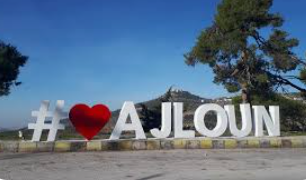 لقاء يبحث احتياجات عجلون للمشاريع التنموية