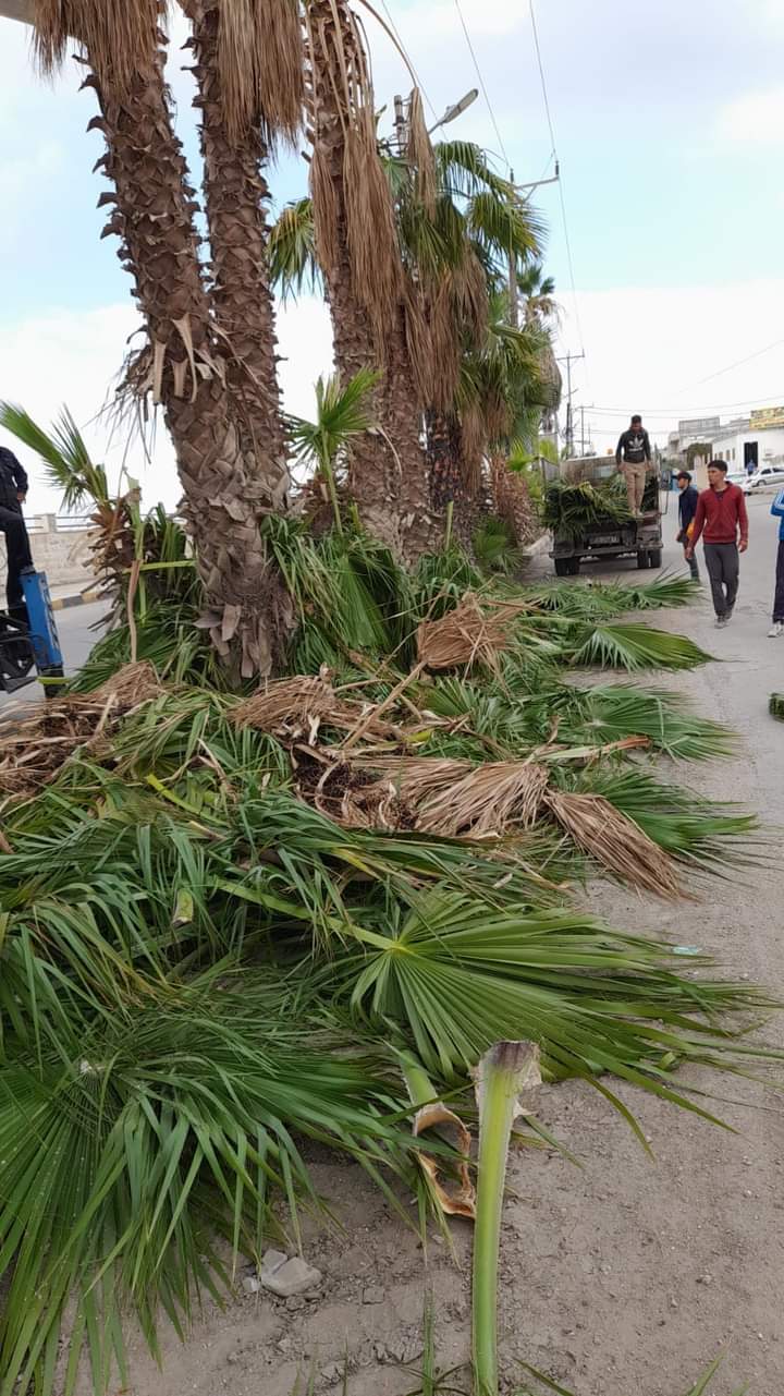 أعمال مشتركة بين بلدية الطيبة الدوائر الحكومية ضمن التعاون المشترك بين البلدية وشركة الكهرباء اربد... صور