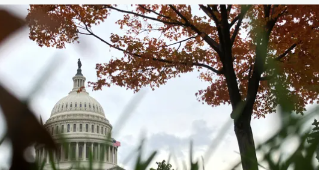 خانة الأول تتزين.. علامات فارقة في انتخابات أميركا