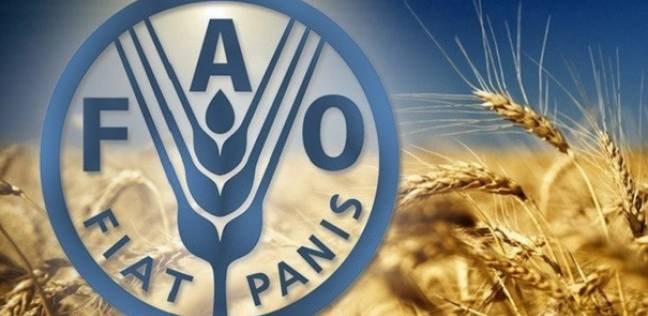“الفاو” تطلق مشروعا لتعزيز التكيف مع تغير المناخ في الأردن