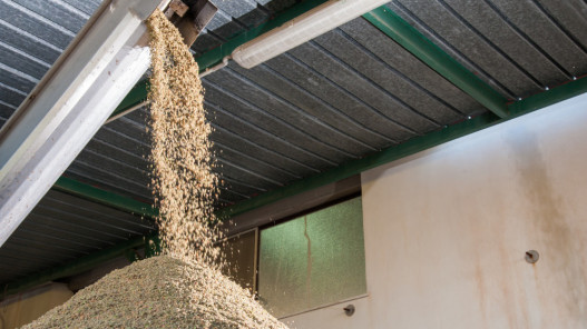 بحث إنشاء مصنع لتحويل مياه الزيبار إلى سماد في جرش