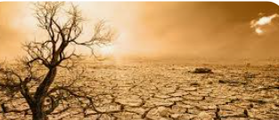 إطلاق تحالف للتصدي للجفاف في كوب 27