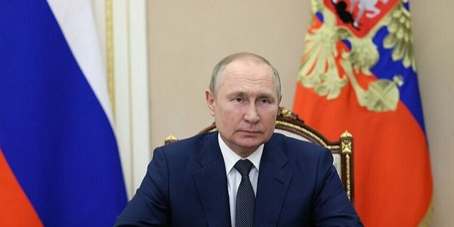 بوتين: مستعدون لتزويد أفريقيا بالأسمدة والمنتجات الزراعية