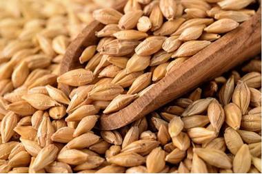 الحكومة تشتري 240 ألف طن من القمح والشعير الاسبوع الحالي