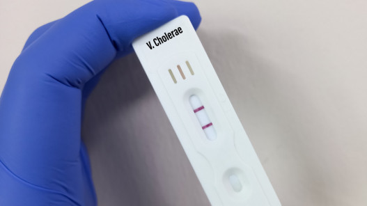 مستشار حكومي: الأردن اشترى قبل 10 أيام لوازم فحص سريع للتحري عن الكوليرا