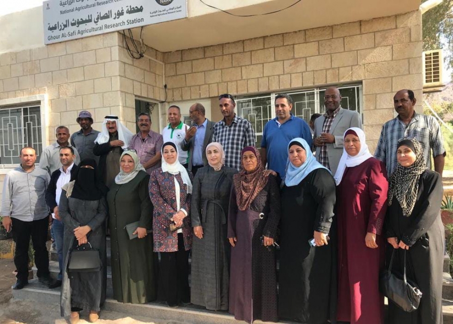 البحوث الزراعية ينفذ ورشة عمل في غور الصافي بعنوان المسح الاستقصائي السريع للتحديات التي تواجه القطاع الزراعي في غور الصافي