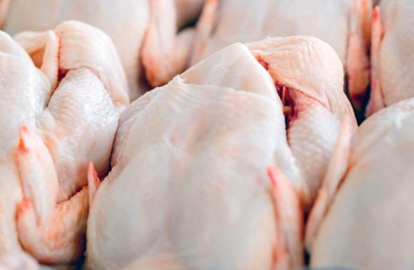 التخليص على 54 طن دجاج مجمد غير صالح للاستهلاك البشري
