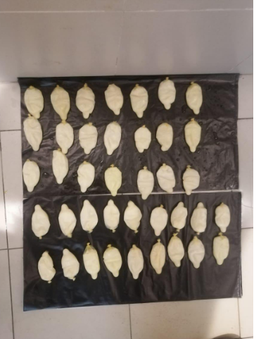 احباط محاولة تهريب 1.5 كغم من مادة الكوكايين داخل أحشاء مسافر أجنبي قادم للاردن