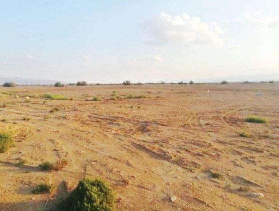 شركة تستأجر أرضا من الحكومة ثم تؤجرها لها