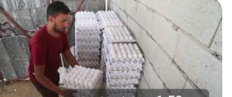 فلسطينيون يصنعون أطباق بيض صديقة للبيئة