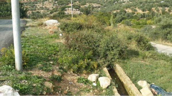 زراعة كفرنجة تنفذ حملات لتنظيف قنوات الري