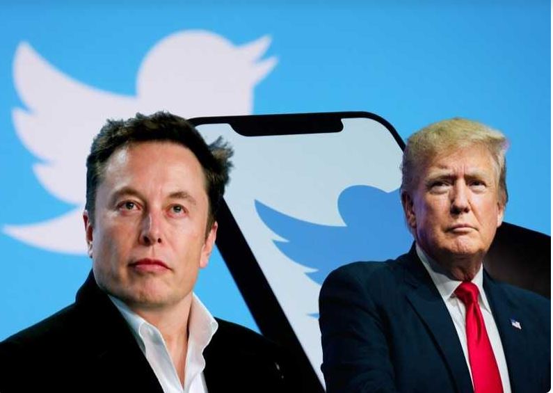 إيلون ماسك يطلب من مستخدمي تويتر التصويت على إعادة تفعيل حساب ترامب