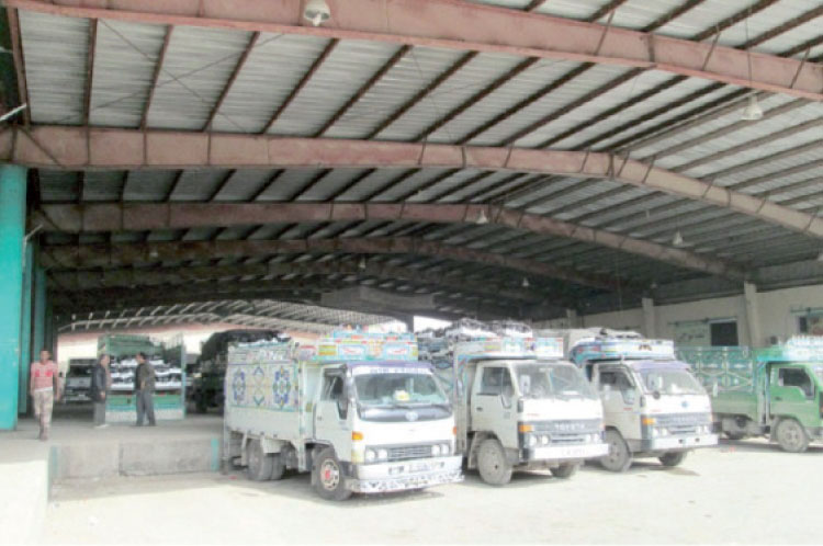 خسائر جديدة.. انخفاض أسعار الخضار 50 