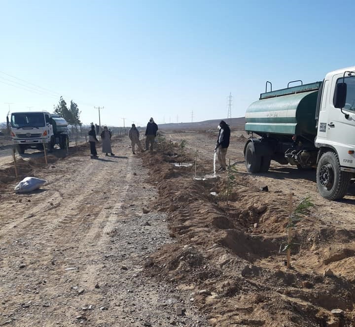 الزراعة: البدء بزراعة غراس غابة القطرانة