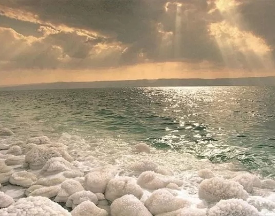 العسلي: قطاع السياحة العلاجية رافد رئيسي للاقتصاد الوطني