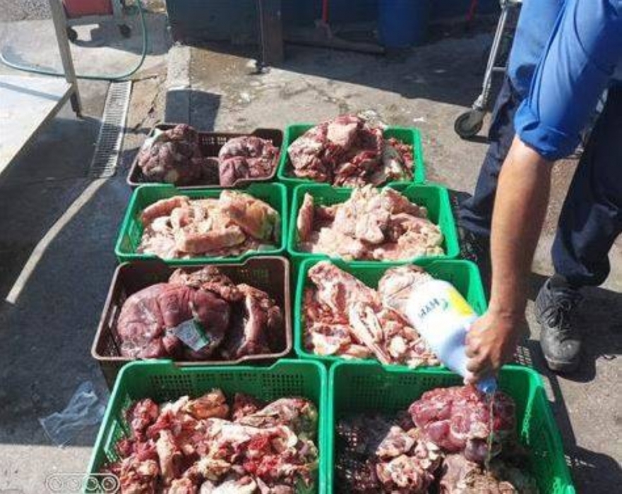 العقبة..اتلاف ما يقارب (4600) كغم من اللحوم والالبان والعصائر غير صالحة للاستهلاك