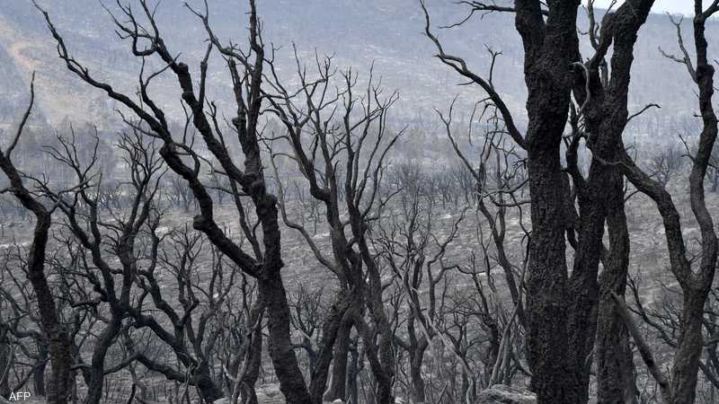 قضية هزت الجزائر.. كواليس الحكم بإعدام 48 شخصا