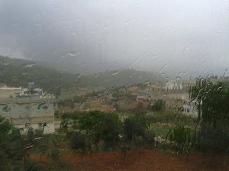 عجلون: أمطار الخير تحيي الآمال بموسم زراعي جيد