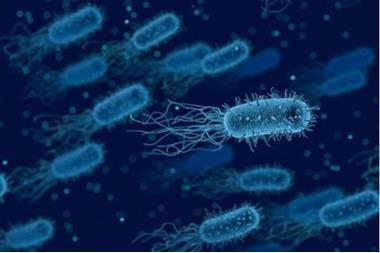 وفاة بجرثومة شيغيلا وإصابات حرجة لدى الأطفال في تونس