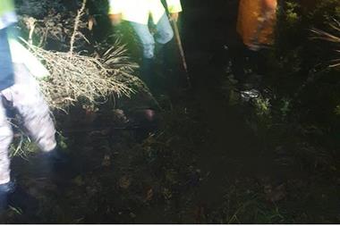 بلدية الوسطية: إزالة اغصان الاشجار من الشوارع لتصريف مياه الامطار