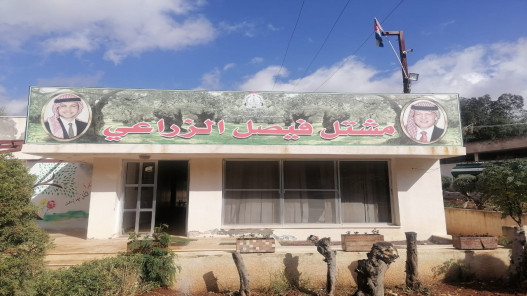 مشتل فيصل الزراعي ينتج 150 ألف شجرة مثمرة العام الحالي