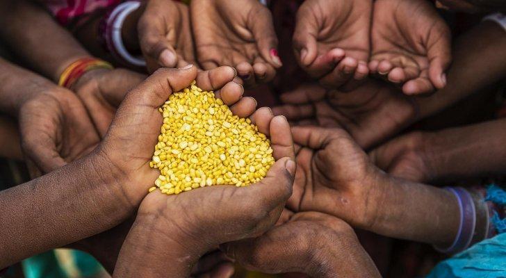 ألمانيا: ما نمر به الآن هو أسوأ أزمة غذاء عالمية