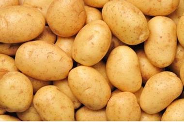 ارتفاع سعر البطاطا في السوق المركزي اليوم