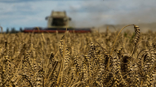 أوكرانيا تتوقع تصدير أقل من 3 ملايين طن من الحبوب في الشهر الحالي