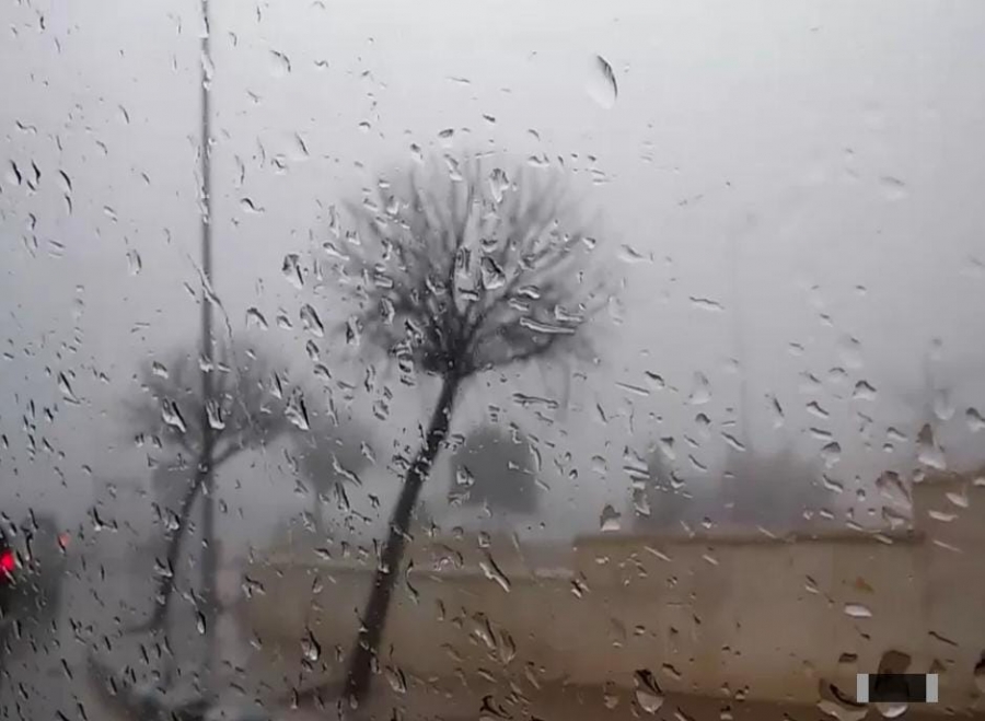 الامطار تحيي آمال مزارعي دير علا