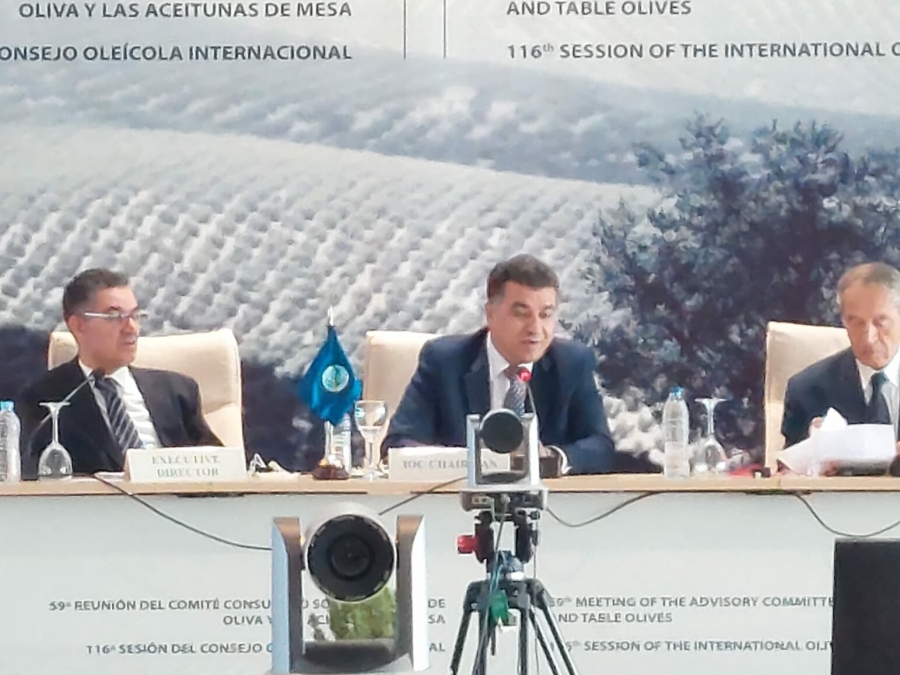 الأردن رئيسا للمجلس الدولي للزيتون للعام الثاني تواليا