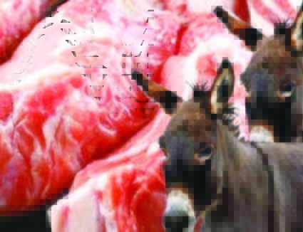 الكشف عن حقيقة بيع لحوم حمير بمعان