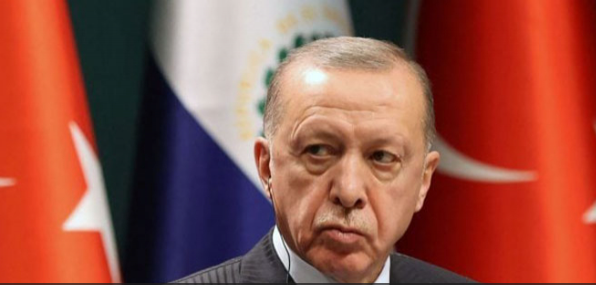 أردوغان: تركيا لم تعد تركيا القديمة