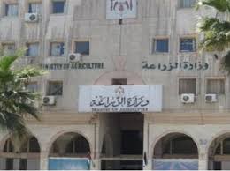“الزراعة”: الثروة الحيوانية الأردنية سليمة