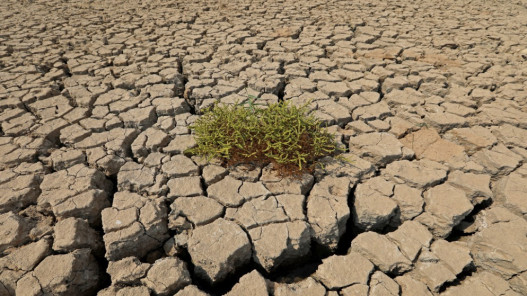 التربة بحاجة لإمدادات متوازنة ومتنوعة من العناصر الغذائية لتكون صحية