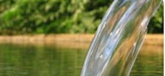 الشبكة الإسلامية لإدارة مصادر المياه تنظم حوارا حول الحصاد المائي