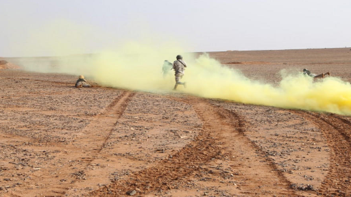 المنطقة العسكرية الشرقية تنفذ تمرين (الرمح الصائب)