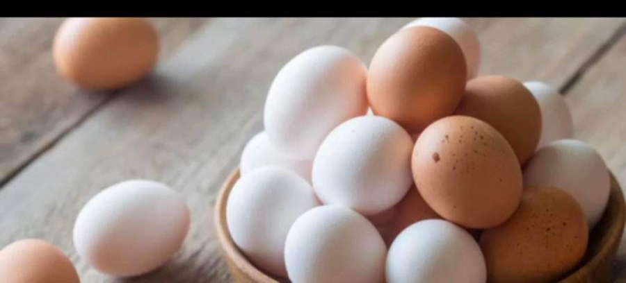 قيود على شراء البيض في بريطانيا