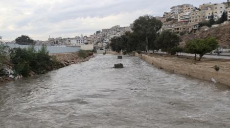 اتفاقيات مع 16 مزارعا لإنتاج زراعات علفية على مجرى سيل الزرقاء