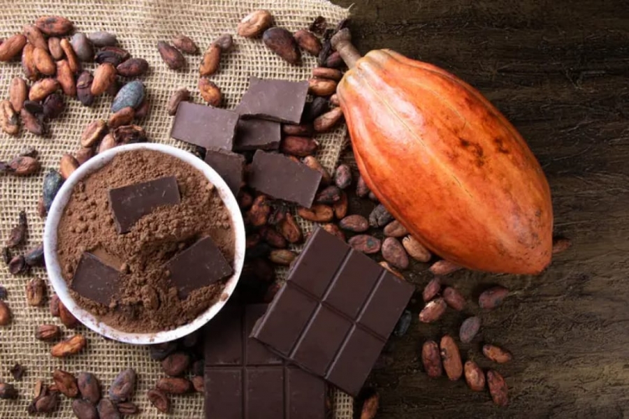 ماذا يحدث لجسمك عند تناول الشوكولاتة كل يوم؟