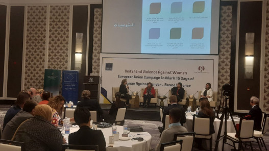 سفيرة الاتحاد الأوروبي: العنف القائم على النوع الاجتماعي جائحة عالمية