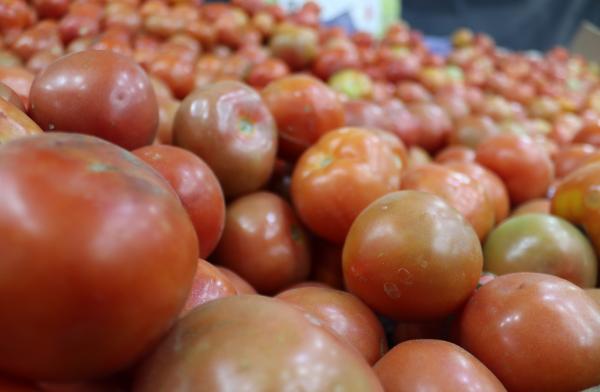 ارتفاع سعر البندورة في السوق المركزي الاثنين