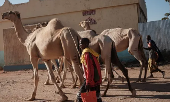 التغير المناخي.. سلاح مفاجئ بوجه حركة الشباب بالصومال
