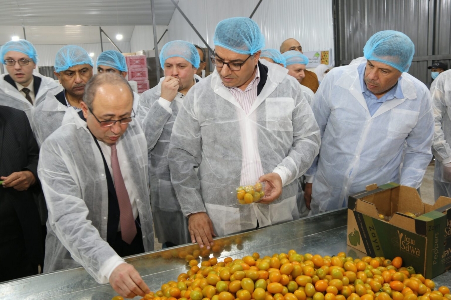 وزير الزارعة يفتتح موسم قطاف الزراعات التعاقدية