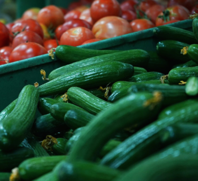 “المزارعين” تحذر من من تعطل سلسلة الغذاء