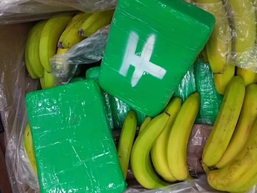 السلطات الهولندية تحبط محاولة لتهريب الكوكايين في شحنات موز