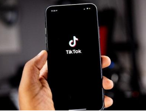 الأردنيون يتجاوزون حظر الـ تيك توك عبر VPN