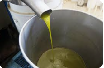 “معاصر الزيتون”: زيت الموسم الحالي يكفي حاجة الأردن للموسم القادم