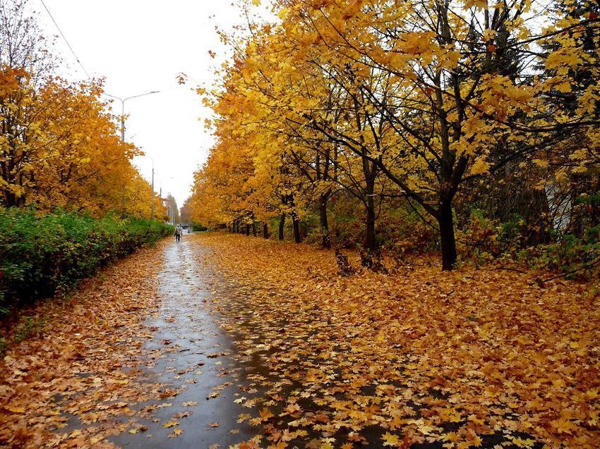 فصل الخريف يُودع الاردن بامتداد مُنخفض جوي