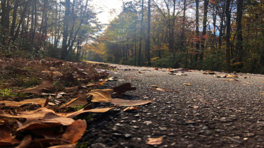 أجواء باردة نسبياً واحتمال ضعيف لسقوط المطر